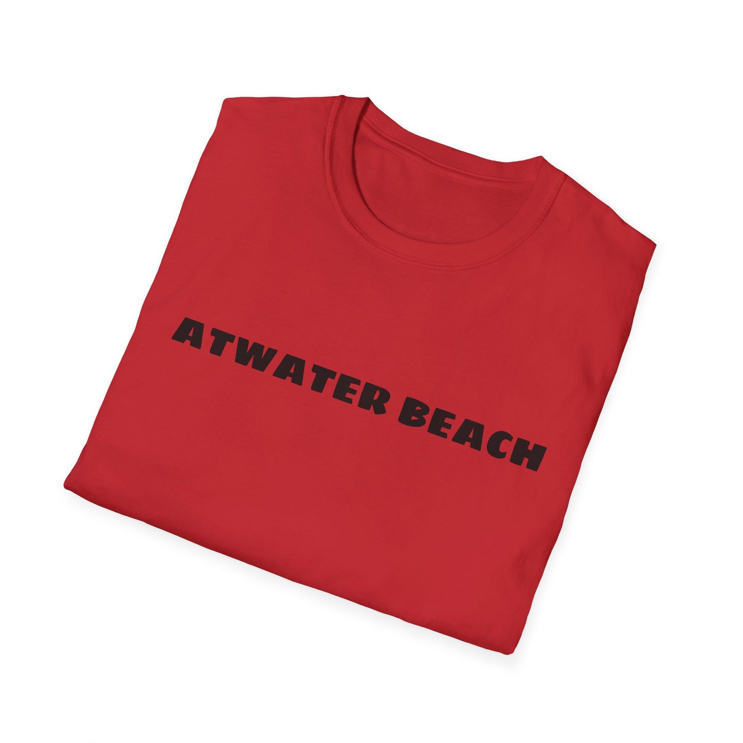 Atwater Beach Graphic T-Shirt — Great Lakes Surf Apparel