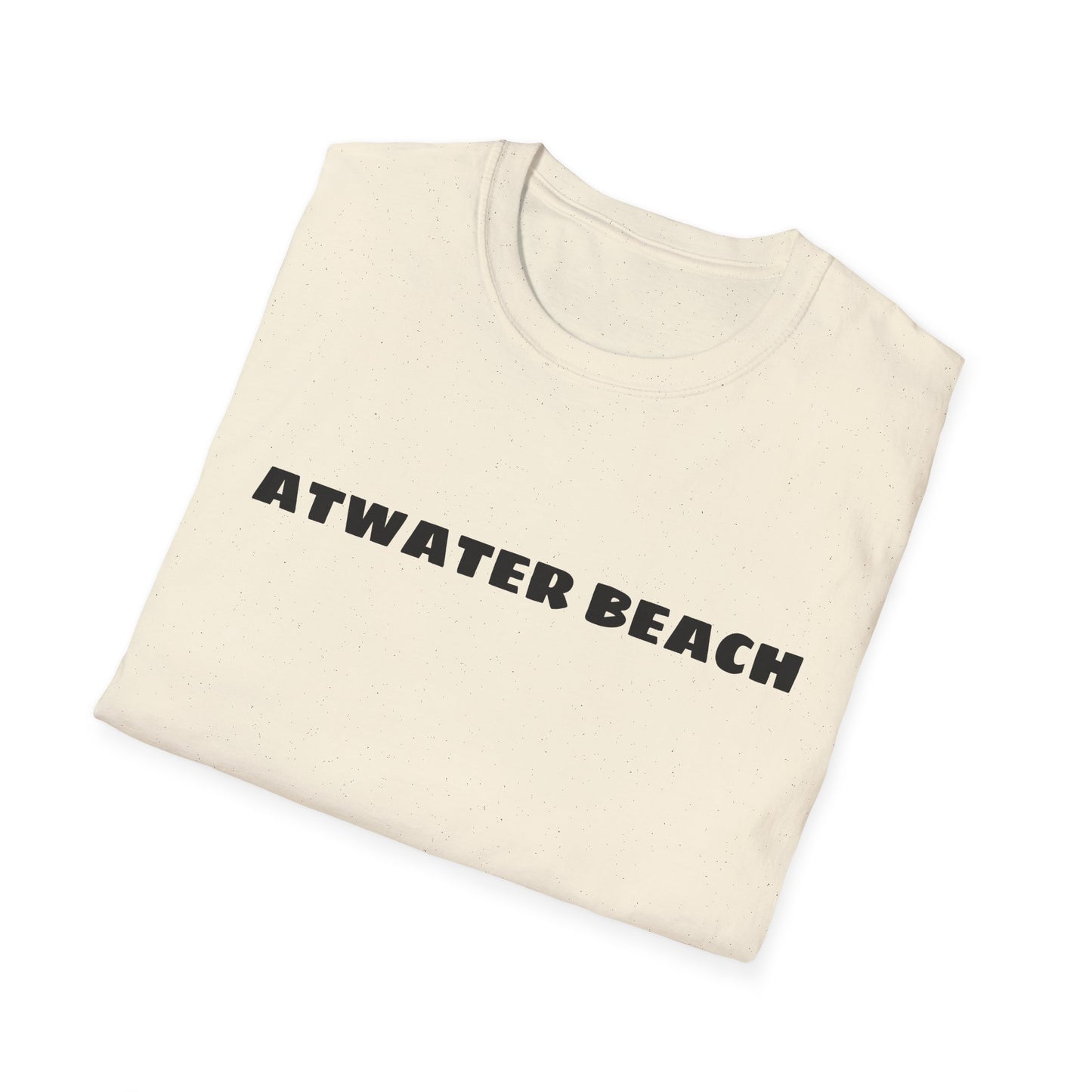 Atwater Beach Graphic T-Shirt — Great Lakes Surf Apparel