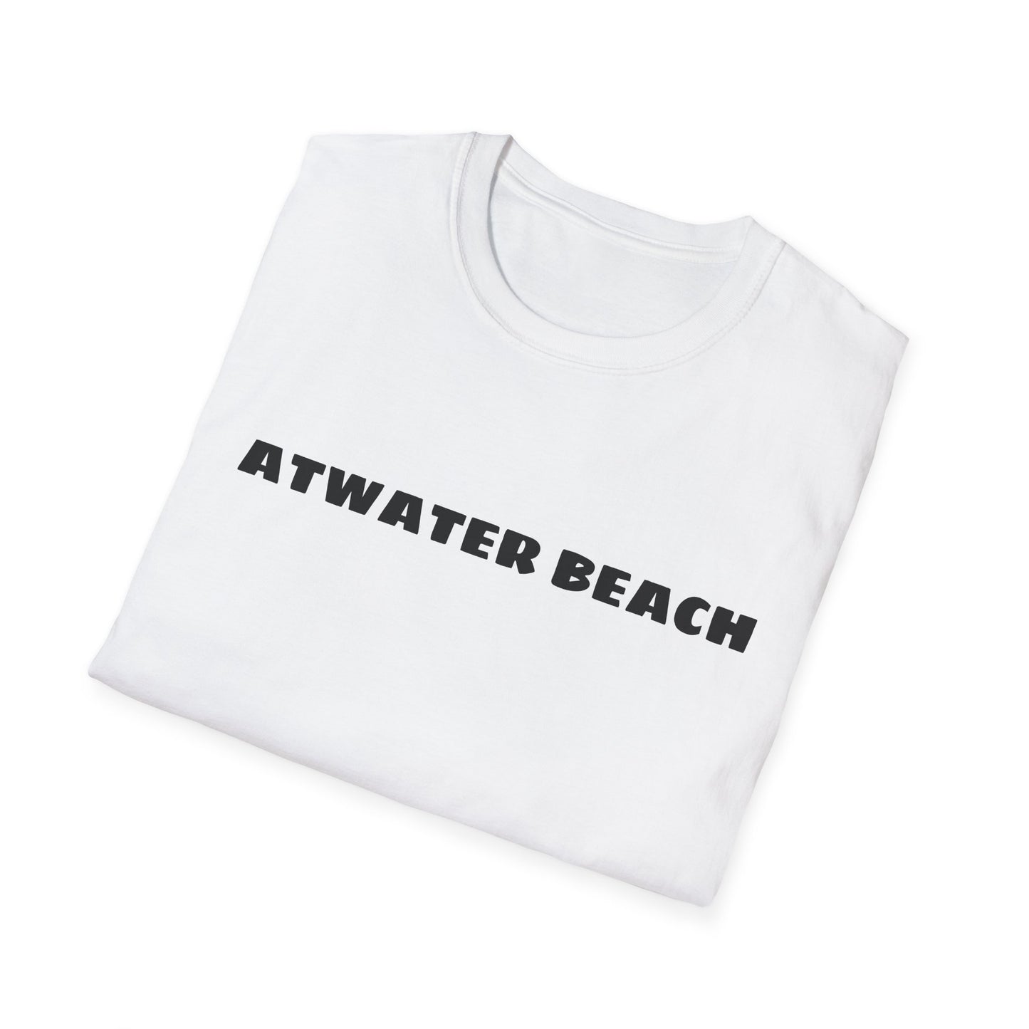 Atwater Beach Graphic T-Shirt — Great Lakes Surf Apparel