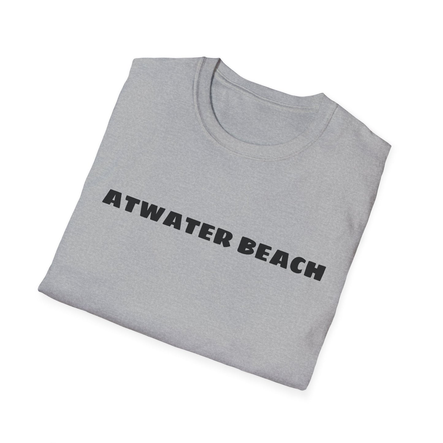 Atwater Beach Graphic T-Shirt — Great Lakes Surf Apparel