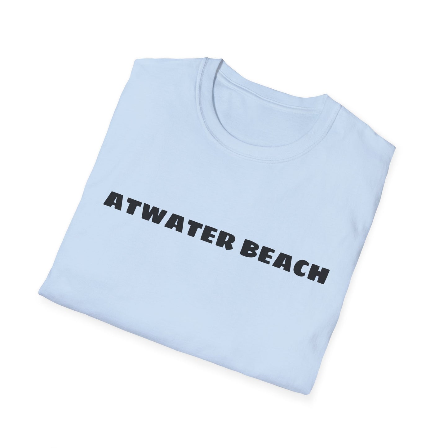 Atwater Beach Graphic T-Shirt — Great Lakes Surf Apparel