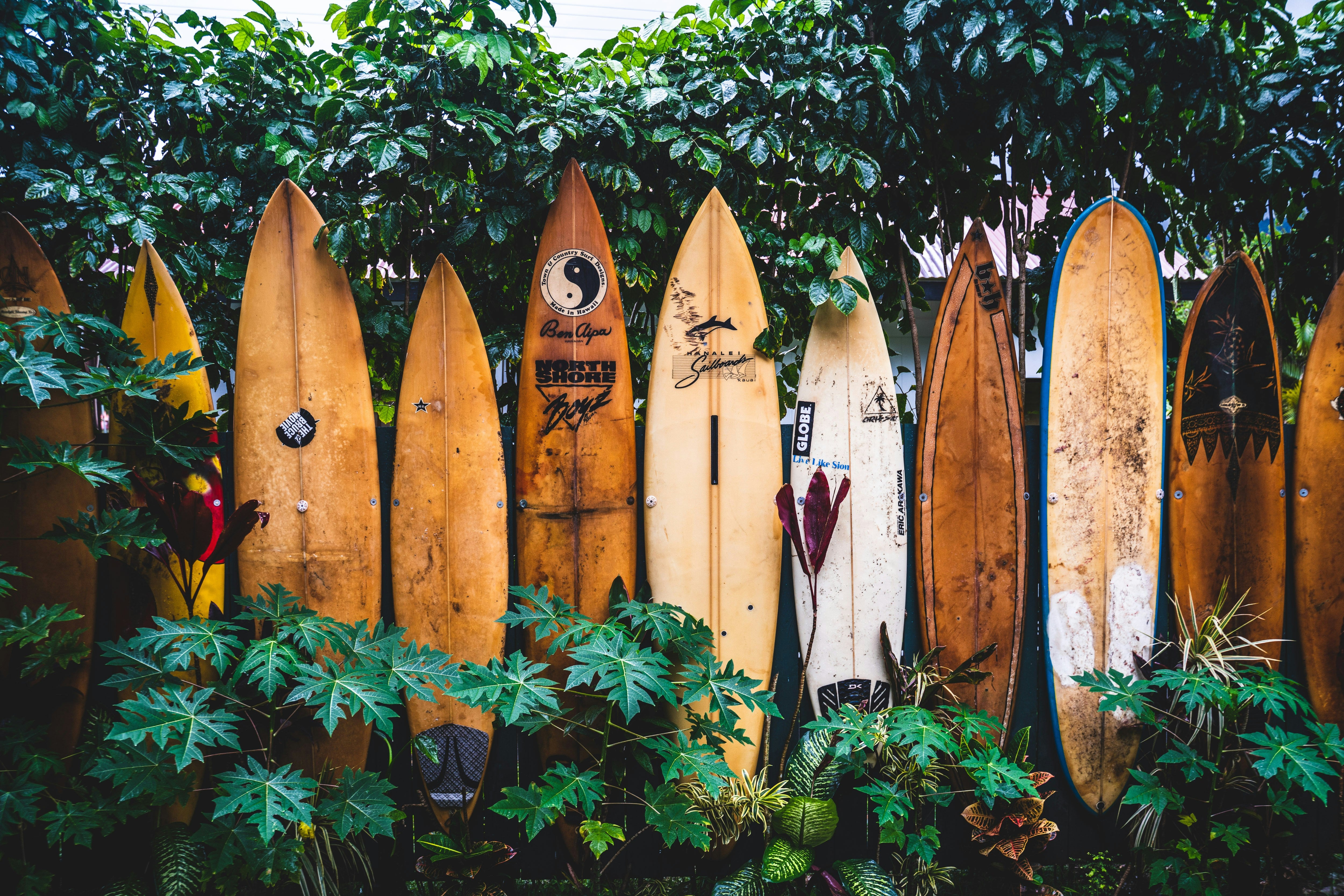 SURF SAVAGE APPAREL – The Board Shack